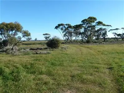 Main view of Homely rural property listing, Lot 737 Linkes Woolshed Road, Steinfeld via, Truro SA 5356