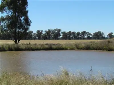 Second view of Homely rural property listing, 1460 "Pinnacle North" Pinnacle Road, Grenfell NSW 2810