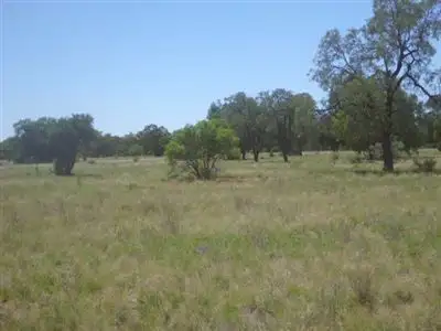 Fifth view of Homely rural property listing, " Wilbertree", Nyngan NSW 2825
