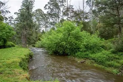 Fourth view of Homely house listing, 28 Joes Road, Nicholls Rivulet TAS 7112