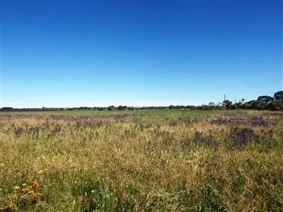 Third view of Homely rural property listing, 252 Distillery, Monash SA 5342