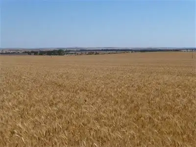 Main view of Homely rural property listing, Address available on request