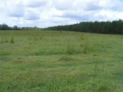 Fifth view of Homely rural property listing, Address available on request