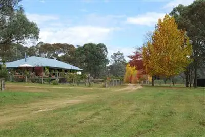Main view of Homely rural property listing, 3339 Niangala Road, Walcha NSW 2354