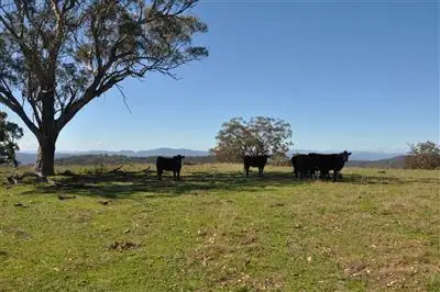 Second view of Homely rural property listing, 60 Sophia Creek Rd, Scone NSW 2337