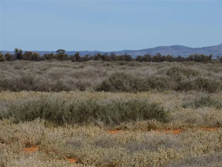 Sixth view of Homely rural property listing, 93 Tapscott Road, Orroroo SA 5431