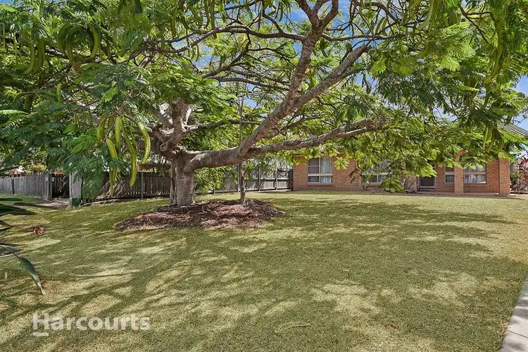 Second view of Homely house listing, 7 Birch Court, Kawungan QLD 4655