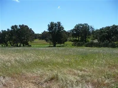 Third view of Homely rural property listing, Lot 6128 Doust St, Boyup Brook WA 6244