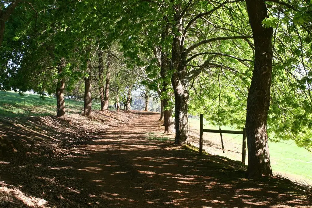 Main view of Homely rural property listing, Address available on request