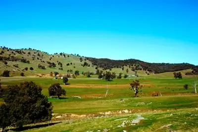 Sixth view of Homely rural property listing, 473 Eldridges Lane, Taylors Flat, Boorowa NSW 2586