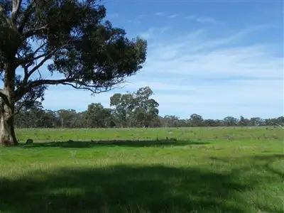 Second view of Homely rural property listing, 163 Creasys Road, Walmer VIC 3463