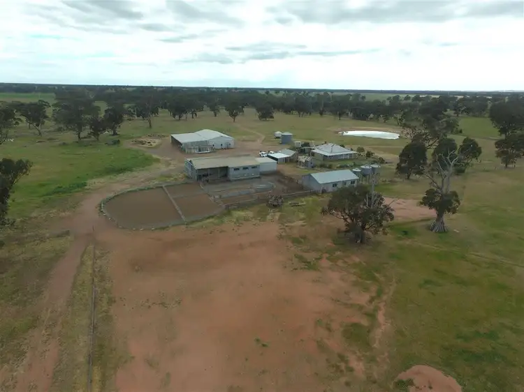Second view of Homely rural property listing, 413 BROWNES LANE, Axedale VIC 3551