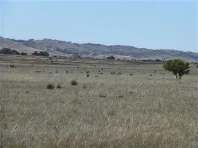 Fifth view of Homely rural property listing, * YATINA (via), Peterborough SA 5422