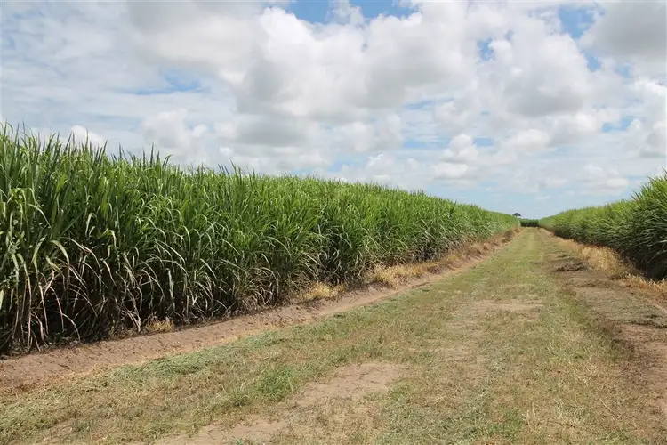 Sixth view of Homely rural property listing, 18 Burdekin Road, Home Hill QLD 4806