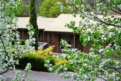Main view of Homely house listing, 3 Beare Street, Clare SA 5453