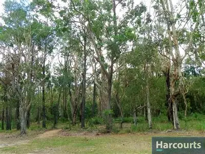 Fourth view of Homely house listing, 19 Warrigal St, Bellara QLD 4507