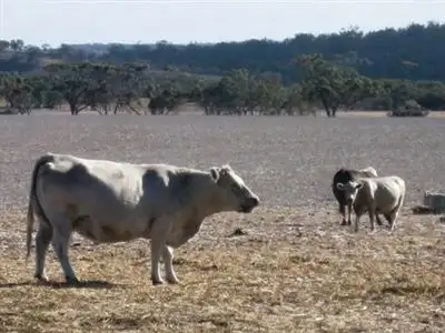 Third view of Homely rural property listing, Address available on request