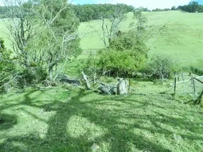 Main view of Homely rural property listing, 305 Whitelaws Track, Devon North VIC 3971