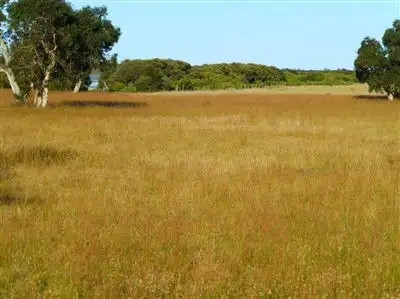 Second view of Homely rural property listing, . Bunbury Road, Keith SA 5267