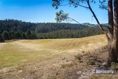 Main view of Homely land listing, Lot 1 Arthurs Road, Pelverata TAS 7150