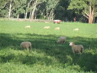 Main view of Homely rural property listing, "Rosewick"/622 Warren Road, Narromine NSW 2821