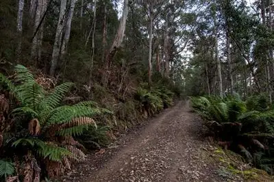 Fifth view of Homely land listing, Lot 1 Bakers Creek Trail, Lucaston TAS 7109