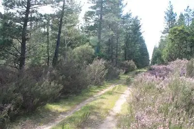 Main view of Homely rural property listing, Lot 4 Tally Ho Road, Braidwood NSW 2622