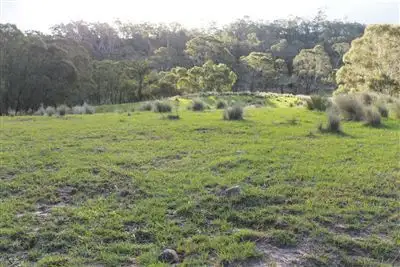 Second view of Homely rural property listing, 298 Mount Elrington Road, Braidwood NSW 2622