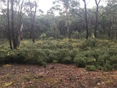 Second view of Homely land listing, CA 2 Simpson Street, Nerrina VIC 3350