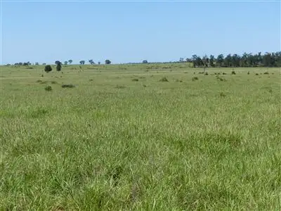 Second view of Homely rural property listing, . Seventeen Mile, Roma QLD 4455