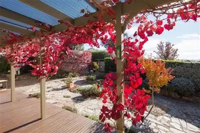 Third view of Homely house listing, 213 Thompson Street, Cootamundra NSW 2590