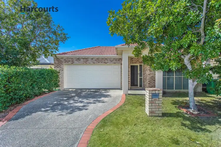 Third view of Homely house listing, 8 Dingo Street, North Lakes QLD 4509
