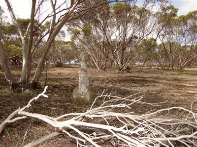 Third view of Homely rural property listing, . Elliotts Rd, Kaniva VIC 3419