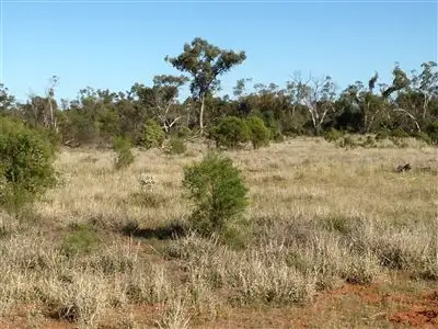 Second view of Homely rural property listing, " Nidgery Downs", Nyngan NSW 2825