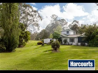 Fifth view of Homely rural property listing, 155 Beards Track, Shady Creek VIC 3821