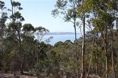 Second view of Homely house listing, 50 Fossil Cove Drive, Blackmans Bay TAS 7052