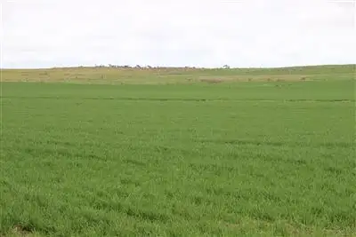Sixth view of Homely rural property listing, 704 Mount William Road, Skipton VIC 3361