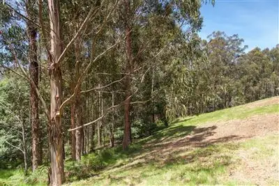 Second view of Homely land listing, - Maxfields Road, Franklin TAS 7113