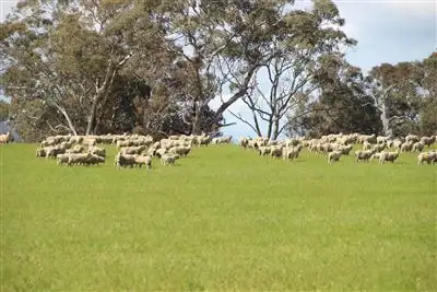 Fourth view of Homely rural property listing, 4127 Sunraysia Highway, Lexton VIC 3352