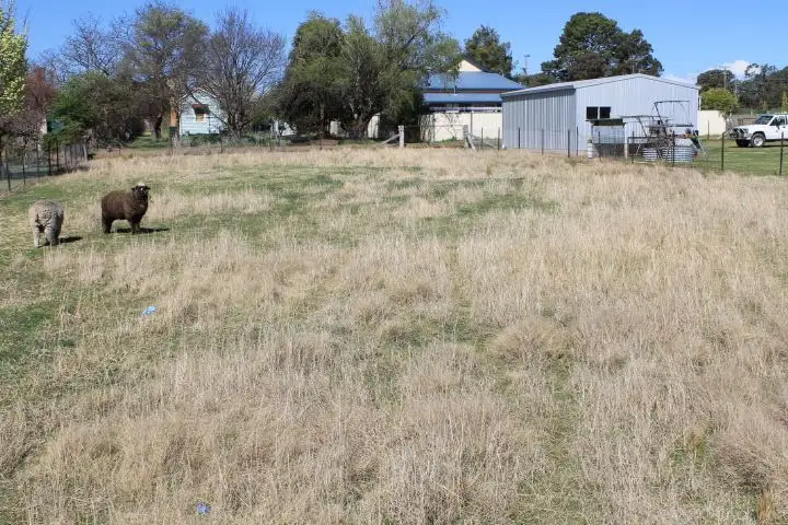 Seventh view of Homely land listing, 68 Severn Street, Deepwater NSW 2371