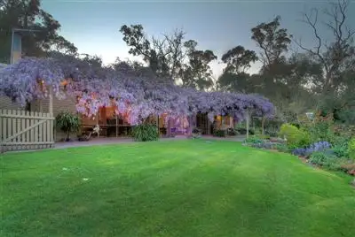 Fifth view of Homely house listing, 102 Mt Morton road, Belgrave South VIC