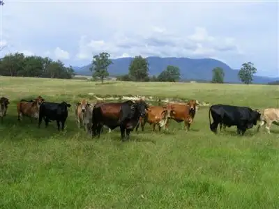 Main view of Homely rural property listing, "Kintyre"/9472 Old Grafton Rd, Glen Innes NSW 2370