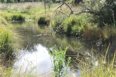 Lot 5 Araluen Road, Braidwood NSW 2622