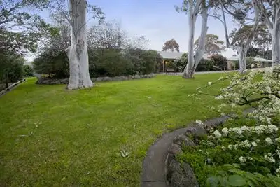 Third view of Homely house listing, 3 Lyndhurst Court, Langwarrin VIC 3910