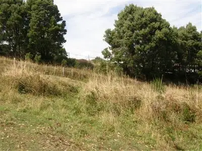 29 Scott Street, Branxholm TAS 7261