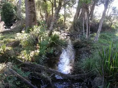 Third view of Homely rural property listing, - Peddles Road, Legerwood TAS 7263