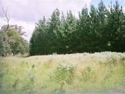 Main view of Homely rural property listing, 0 Harveys Road, Carrajung VIC 3971