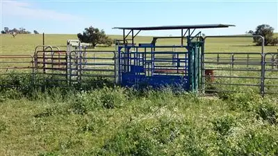 Fifth view of Homely rural property listing, 898 Agaton Road, Dandaragan WA 6507