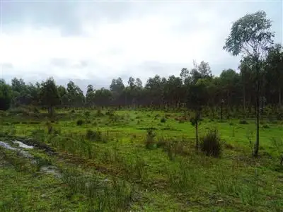 Third view of Homely rural property listing, 103ha Ansons Bay Road, St Helens TAS 7216