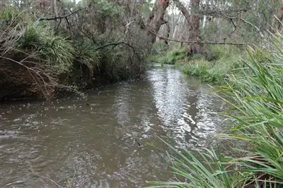Main view of Homely rural property listing, Lots15etal Corang River Road, Nerriga NSW 2622